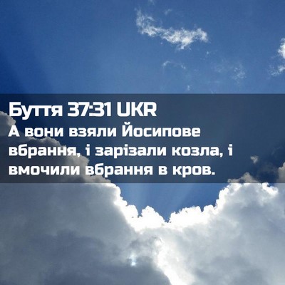 Picture 02 - Буття 37:31 UKR - А вони взяли Йосипове - Bible Verse Picture