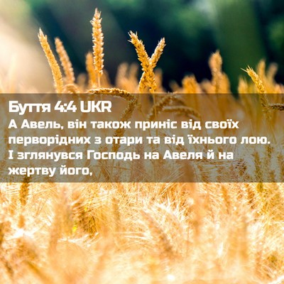 Picture 02 - Буття 4:4 UKR - А Авель, він також приніс - Bible Verse Picture