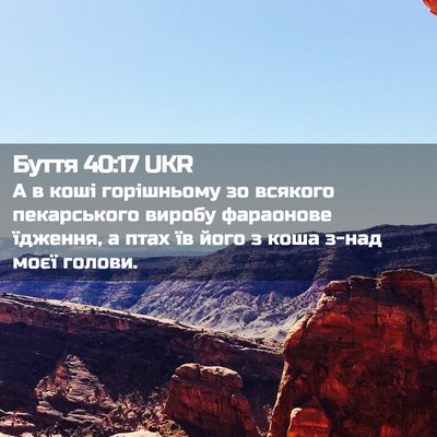 Picture 02 - Буття 40:17 UKR - А в коші горішньому зо - Bible Verse Picture