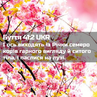 Picture 02 - Буття 41:2 UKR - І ось виходять із Річки - Bible Verse Picture
