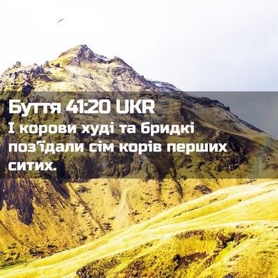 Picture 02 - Буття 41:20 UKR - І корови худі та бридкі - Bible Verse Picture