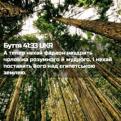 Picture 02 - Буття 41:33 UKR - А тепер нехай фараон - Bible Verse Picture