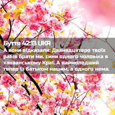 Picture 02 - Буття 42:13 UKR - А вони відказали: - Bible Verse Picture