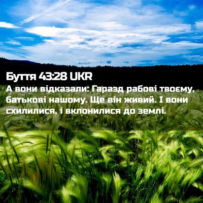 Picture 02 - Буття 43:28 UKR - А вони відказали: Гаразд - Bible Verse Picture