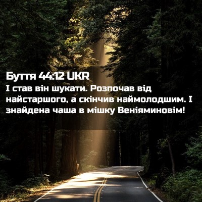 Picture 02 - Буття 44:12 UKR - І став він шукати. Розпочав - Bible Verse Picture