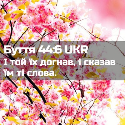 Picture 02 - Буття 44:6 UKR - І той їх догнав, і сказав їм - Bible Verse Picture