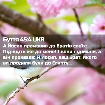 Picture 02 - Буття 45:4 UKR - А Йосип промовив до братів - Bible Verse Picture