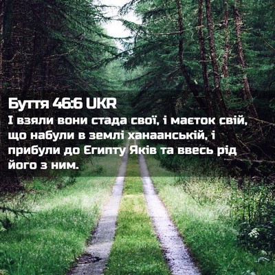 Picture 02 - Буття 46:6 UKR - І взяли вони стада свої, і - Bible Verse Picture