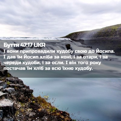 Picture 02 - Буття 47:17 UKR - І вони припровадили худобу - Bible Verse Picture
