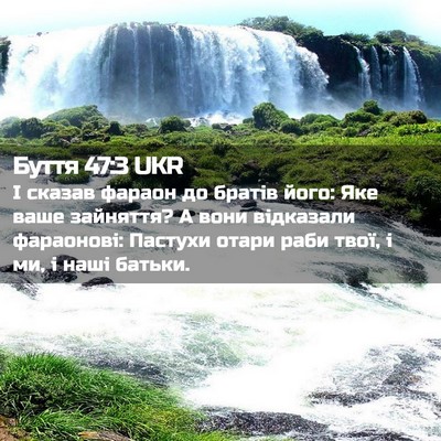Picture 02 - Буття 47:3 UKR - І сказав фараон до братів - Bible Verse Picture