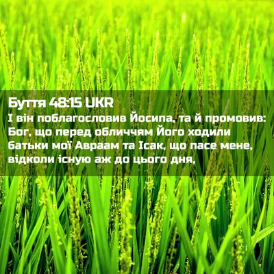 Picture 02 - Буття 48:15 UKR - І він поблагословив - Bible Verse Picture