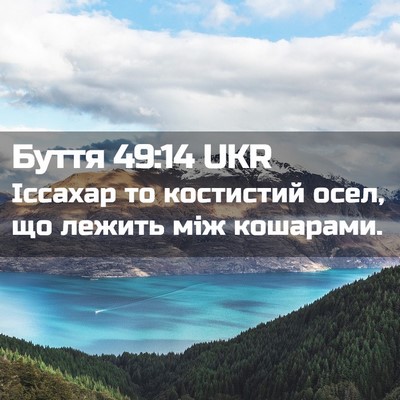 Picture 02 - Буття 49:14 UKR - Іссахар то костистий осел, - Bible Verse Picture