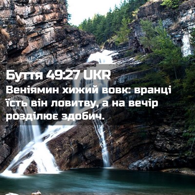 Picture 02 - Буття 49:27 UKR - Веніямин хижий вовк: - Bible Verse Picture