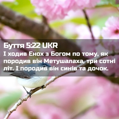 Picture 02 - Буття 5:22 UKR - І ходив Енох з Богом по - Bible Verse Picture