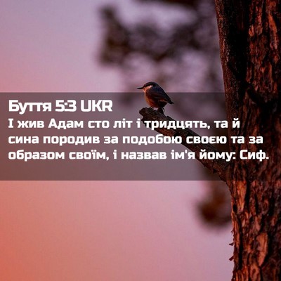 Picture 02 - Буття 5:3 UKR - І жив Адам сто літ і - Bible Verse Picture