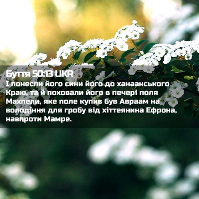 Picture 02 - Буття 50:13 UKR - І понесли його сини його до - Bible Verse Picture