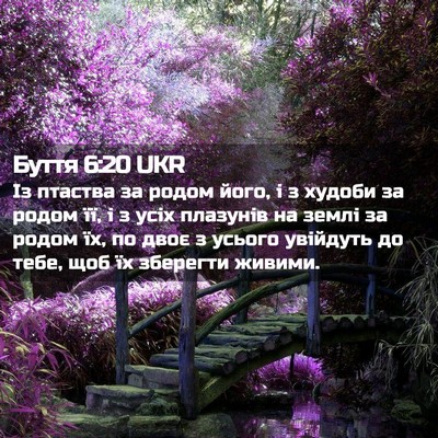 Picture 02 - Буття 6:20 UKR - Із птаства за родом його, і - Bible Verse Picture