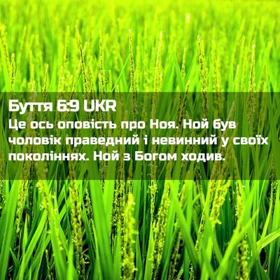 Picture 02 - Буття 6:9 UKR - Це ось оповість про Ноя. - Bible Verse Picture