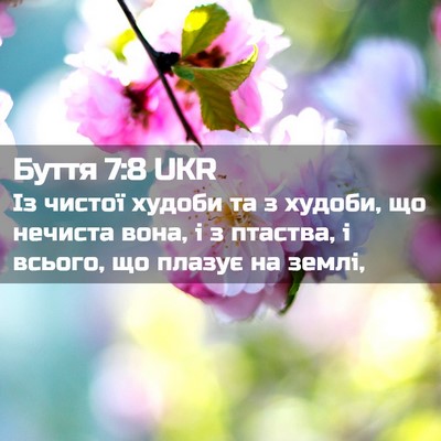 Picture 02 - Буття 7:8 UKR - Із чистої худоби та з - Bible Verse Picture