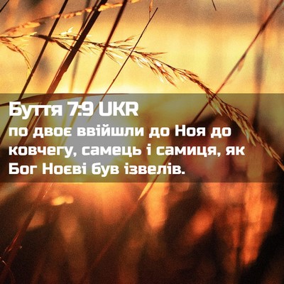 Picture 02 - Буття 7:9 UKR - по двоє ввійшли до Ноя до - Bible Verse Picture