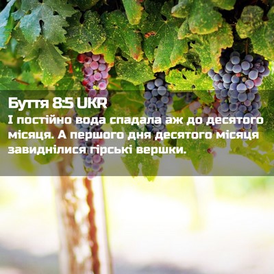 Picture 02 - Буття 8:5 UKR - І постійно вода спадала аж - Bible Verse Picture