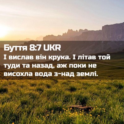 Picture 02 - Буття 8:7 UKR - І вислав він крука. І літав - Bible Verse Picture