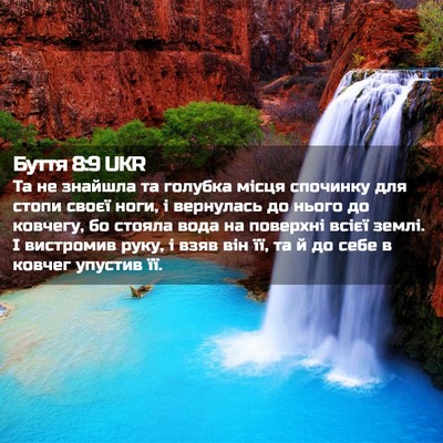 Picture 02 - Буття 8:9 UKR - Та не знайшла та голубка - Bible Verse Picture