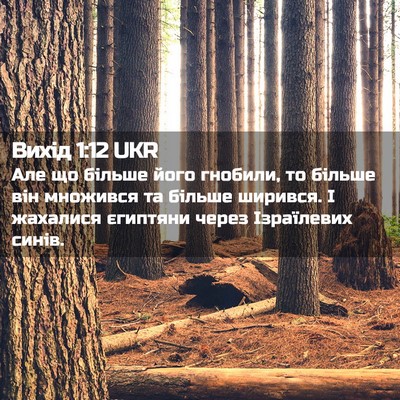 Picture 02 - Вихід 1:12 UKR - Але що більше його гнобили, - Bible Verse Picture