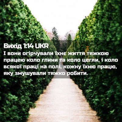 Picture 02 - Вихід 1:14 UKR - І вони огірчували їхнє - Bible Verse Picture