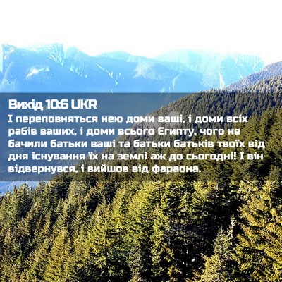 Picture 02 - Вихід 10:6 UKR - І переповняться нею доми - Bible Verse Picture
