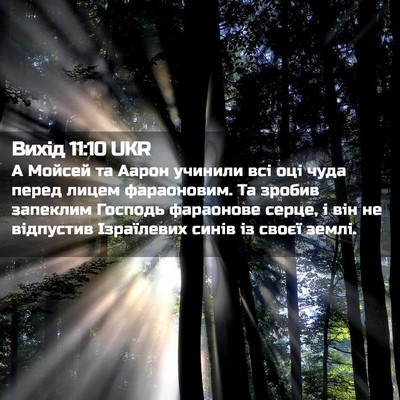 Picture 02 - Вихід 11:10 UKR - А Мойсей та Аарон учинили - Bible Verse Picture