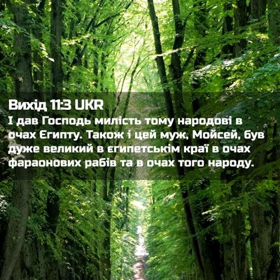 Picture 02 - Вихід 11:3 UKR - І дав Господь милість тому - Bible Verse Picture