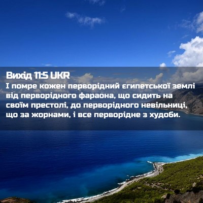 Picture 02 - Вихід 11:5 UKR - І помре кожен перворідний - Bible Verse Picture