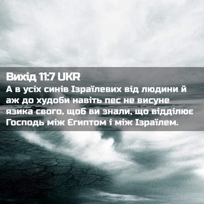 Picture 02 - Вихід 11:7 UKR - А в усіх синів Ізраїлевих - Bible Verse Picture