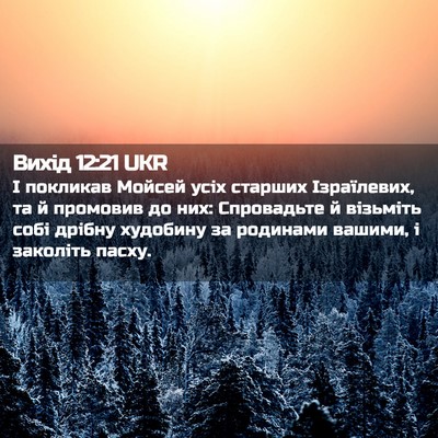 Picture 02 - Вихід 12:21 UKR - І покликав Мойсей усіх - Bible Verse Picture