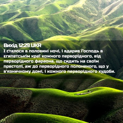 Picture 02 - Вихід 12:29 UKR - І сталося в половині ночі, - Bible Verse Picture