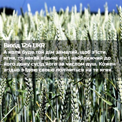 Picture 02 - Вихід 12:4 UKR - А коли буде той дім - Bible Verse Picture