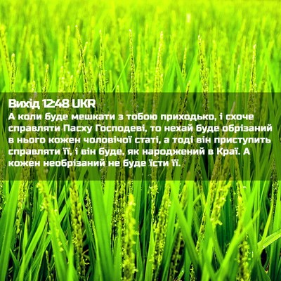 Picture 02 - Вихід 12:48 UKR - А коли буде мешкати з тобою - Bible Verse Picture
