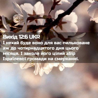 Picture 02 - Вихід 12:6 UKR - І нехай буде воно для вас - Bible Verse Picture