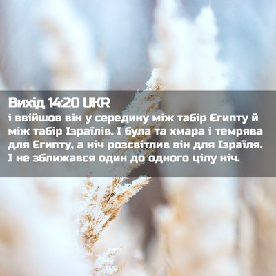 Picture 02 - Вихід 14:20 UKR - і ввійшов він у середину - Bible Verse Picture