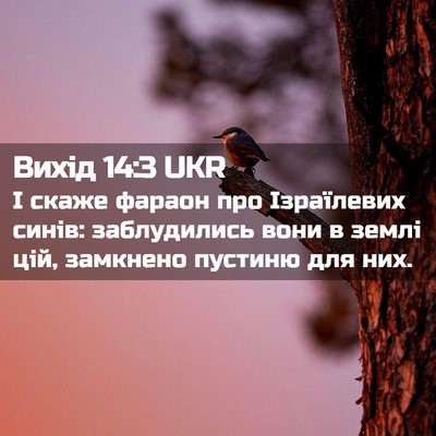 Picture 02 - Вихід 14:3 UKR - І скаже фараон про - Bible Verse Picture