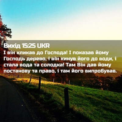 Picture 02 - Вихід 15:25 UKR - І він кликав до Господа! І - Bible Verse Picture
