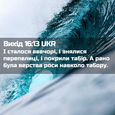 Picture 02 - Вихід 16:13 UKR - І сталося ввечорі, і - Bible Verse Picture
