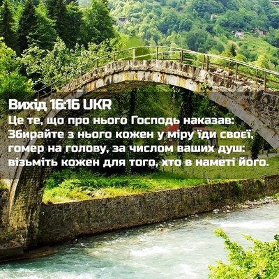 Picture 02 - Вихід 16:16 UKR - Це те, що про нього Господь - Bible Verse Picture