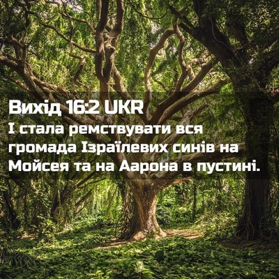Picture 02 - Вихід 16:2 UKR - І стала ремствувати вся - Bible Verse Picture