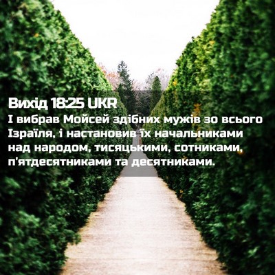 Picture 02 - Вихід 18:25 UKR - І вибрав Мойсей здібних - Bible Verse Picture