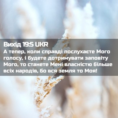Picture 02 - Вихід 19:5 UKR - А тепер, коли справді - Bible Verse Picture