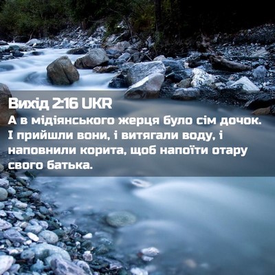 Picture 02 - Вихід 2:16 UKR - А в мідіянського жерця - Bible Verse Picture