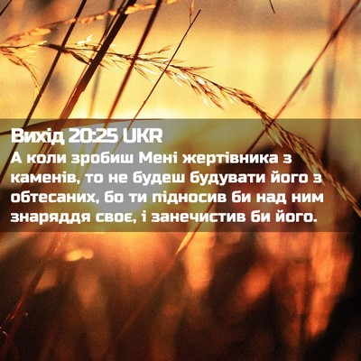 Picture 02 - Вихід 20:25 UKR - А коли зробиш Мені - Bible Verse Picture
