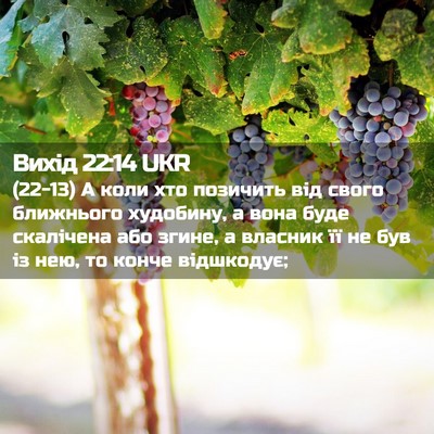 Picture 02 - Вихід 22:14 UKR - (22-13) А коли хто позичить - Bible Verse Picture